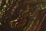 Polished Tiger Iron Stromatolite Slab - Billion Years #354938-1